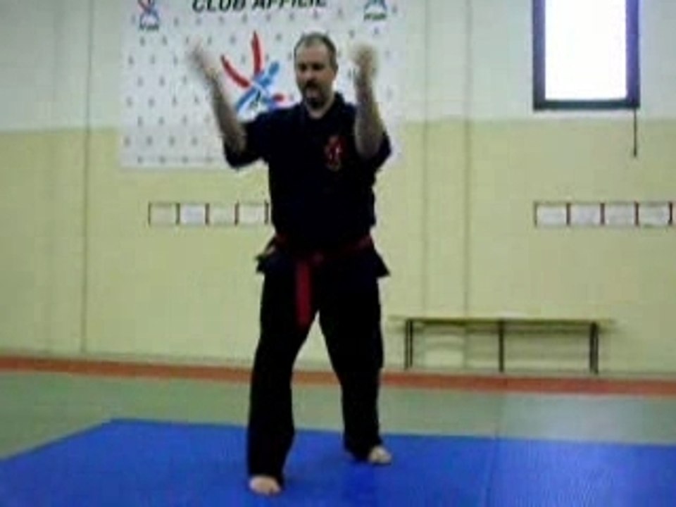 Hakutsuru par Matt BROWN