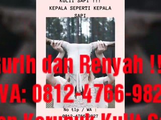 Distributor Makanan Ringan !!, Tlp/WA:0812-4766-9827, Makanan Ringan Jogja