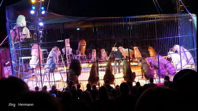 Löwen - Show - Zirkus Krone . Hamburg . 02.10.2018