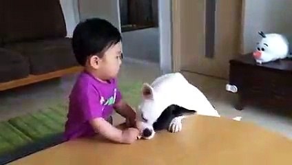 Whatsapp funny videos 2017 - Most funny DOG AND KIDS Videos 2017