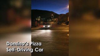 Guy Orders Dominos & It's Delivered By A Driverless Car!  Video