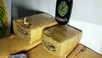PM apreende 15 kg de maconha da rodoviária