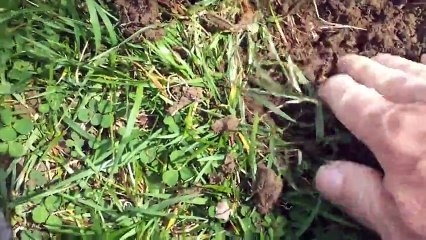 Man finds lost class ring after 39 years