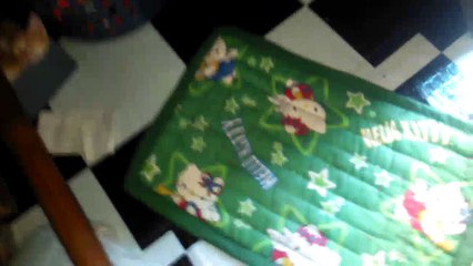 Little Kittens Sleeping in a Small Box