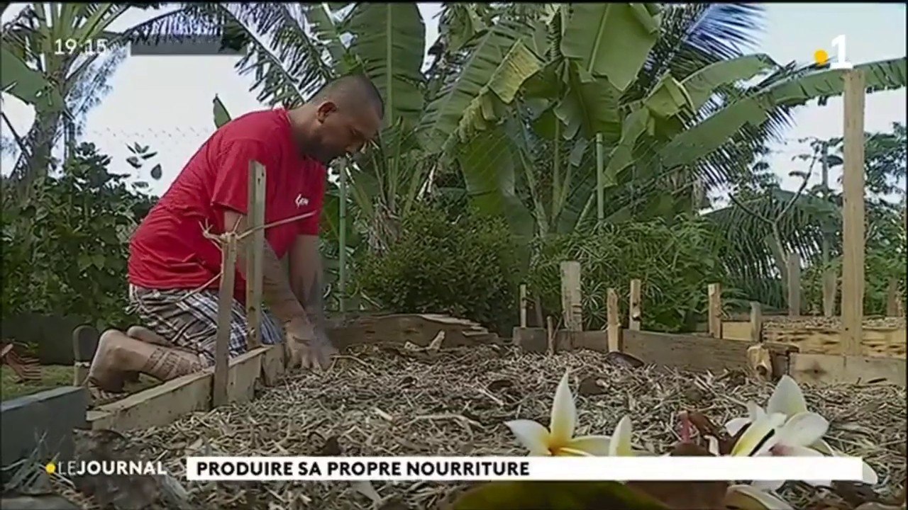 Produire sa propre nourriture