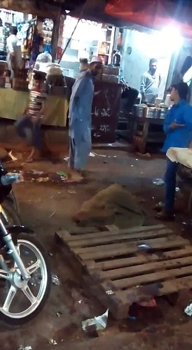 Amazing Funny Video!