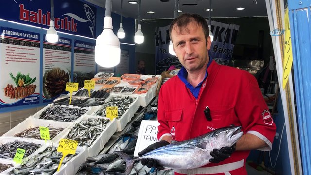 Tezgâhlarda balık bolluğu