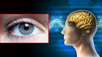 Sixth Sense in Human Beings: Unknown Facts | जानें कैसे काम करती है छठी इन्द्री? | Boldsky