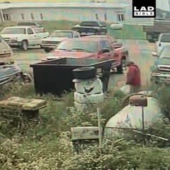 This lad was seriously scared by this dumpster cat 