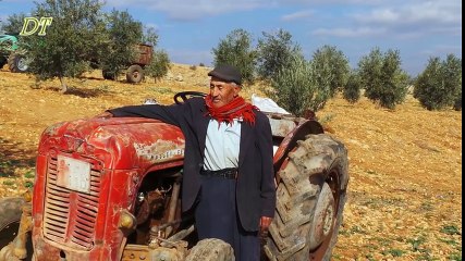 GoZLeRiM YoLLaRDa  GeL YaVRuM  2017