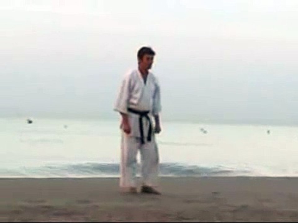 Kata Tekki shodan (Sensei Luis de Carvalho) - Karaté Shotokai (Mushinkai)