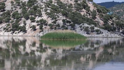 Meksika'dan Bafa'ya Gizemli Yolculuk