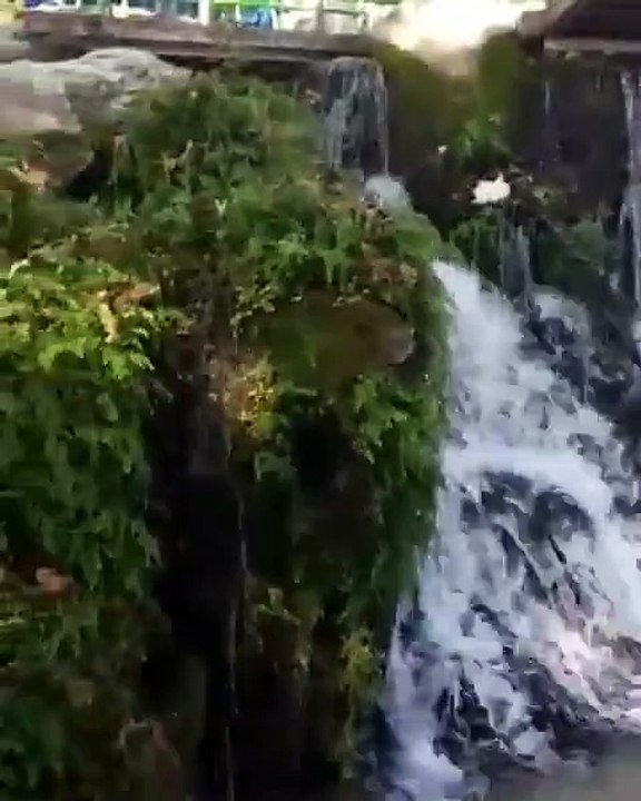 Ujvara e Borshit, Vlorë