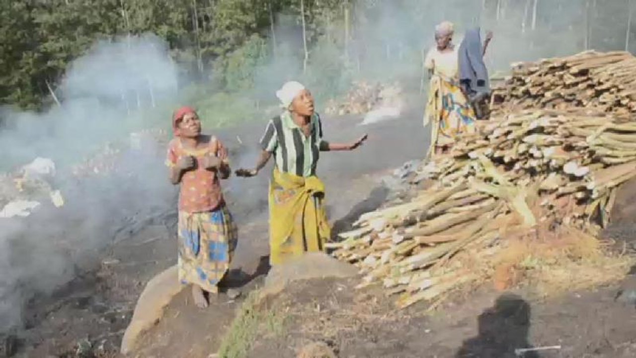 RDC : Cinq femmes violées dans le parc des Virunga