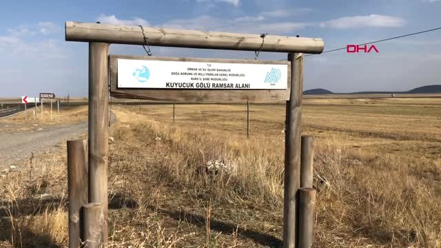 Kars Kuyucuk Gölü Kuş Cenneti Kurudu