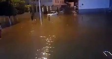 دقائق من الأمطار تفضح البريكولاج في الجزائر العاصمةشاهدوا .. كيف غرق حي الرويسو في سيول الأمطار التي لم تستمر أكثر من 15 دقيقة