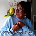 These talking birds are hilarious Follow Howlers Presents for more!