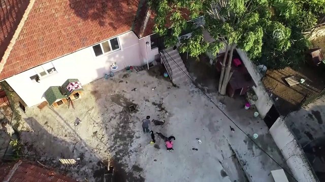 Hayvansever annenin mirası 'sokak hayvanları' oldu - EDİRNE