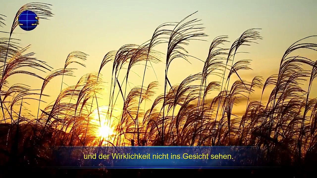 Kundgebungen Christus der Letzten Tage | Wem bist du treu?