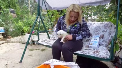 'Garip'in yavruları gönüllü bakıcıya emanet (1) - KIRKLARELİ