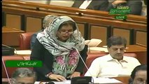 Ali Muhammad Khan Speech In Senate - 3rd October 2018