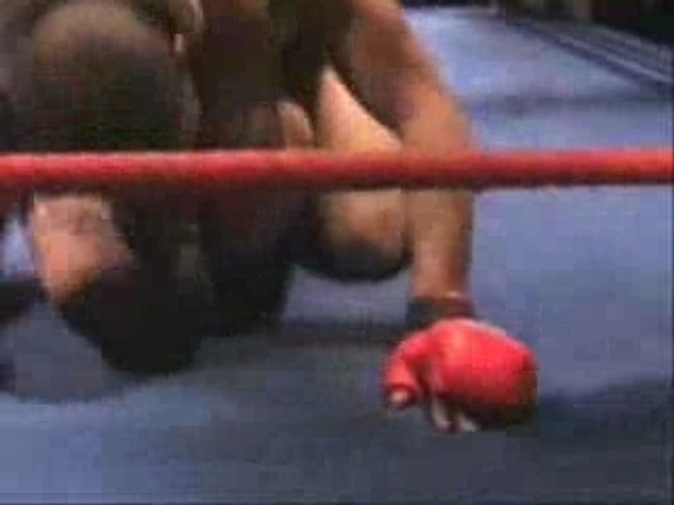 freefight Saïd BenMira