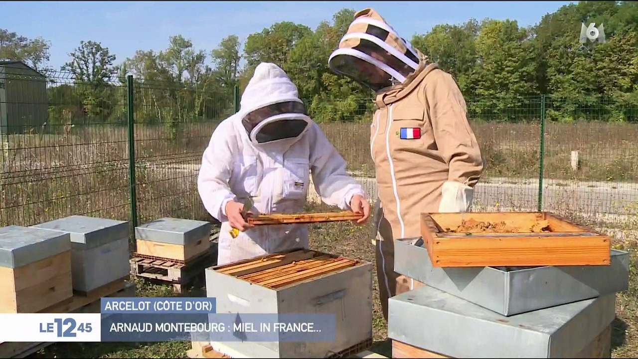 Arnaud Montebourg : miel in France...