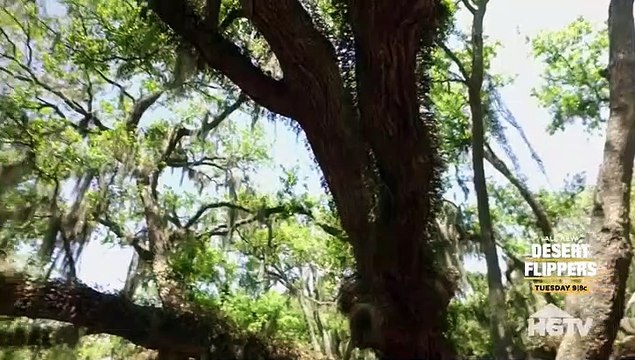 Island Life S13E04 A View from the Treetops on Fidalgo Island