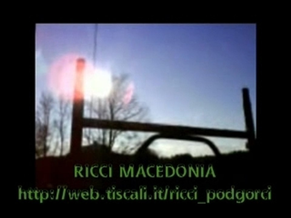 Pineta3