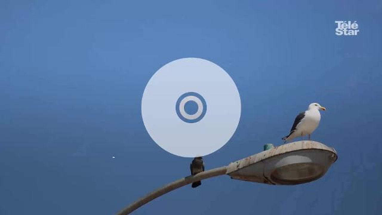 Esprits criminels : les temps forts de la saison 14 et les interrogations sur l'avenir de la série