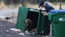 ‘This Trash Can is Just Right’ - Reno Firefighters Find Three Bear Cubs in Dumpster