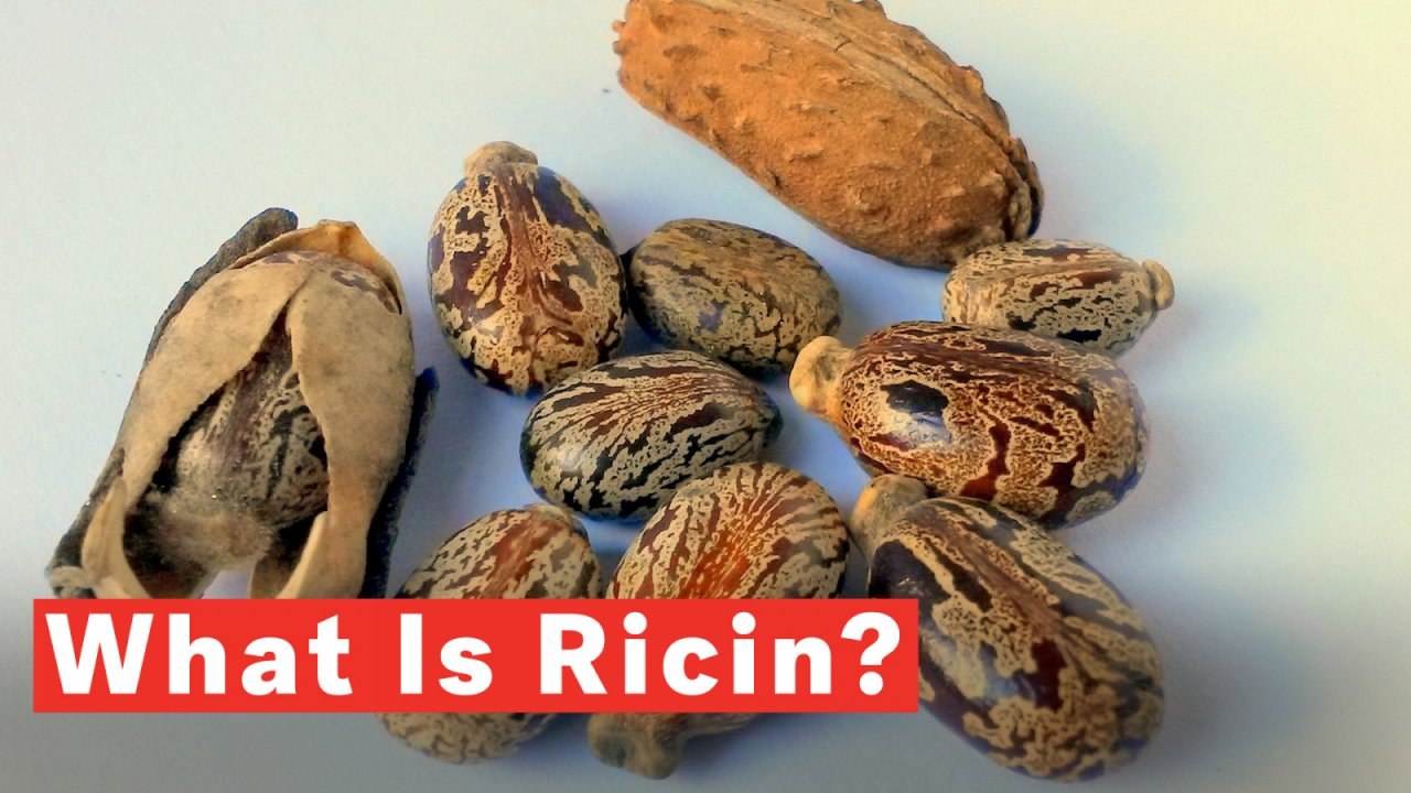 What Is Ricin?