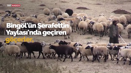 Göçerlerin Şanlıurfa'ya zorlu dönüşü