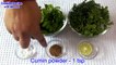 व्रत वाली पुदीने की चटनी - Vrat Wali Pudine Ki Chutney - Mint Chutney Recipe - Chutneys for Vrat