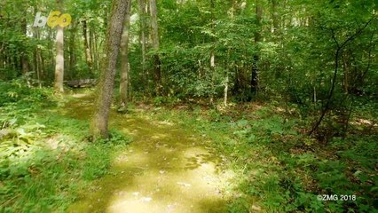 Ready Or Not This Paradise Country Is Holding a Nationwide Game Of Hide-And-Seek