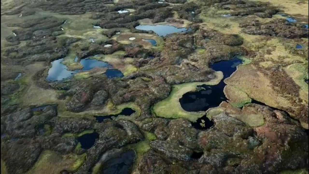 Darum verschwindet Schwedens einzigartige Permafrost-Landschaft