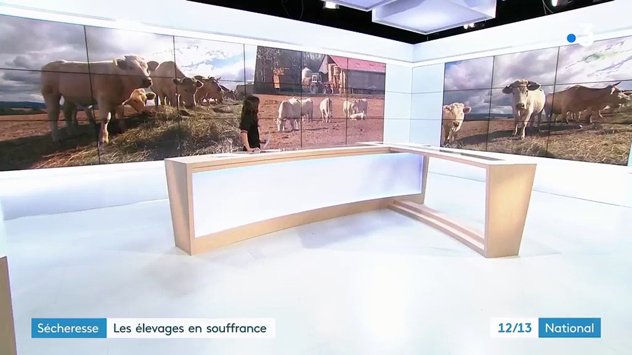 Sécheresse : les élevages en souffrance