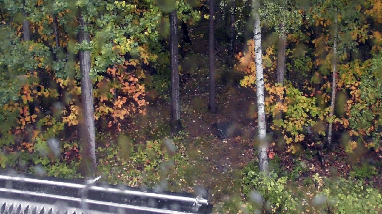 Sep 26 2018 DL1