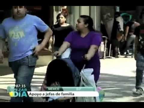 PVEM propone brindar apoyo económico a madres solteras