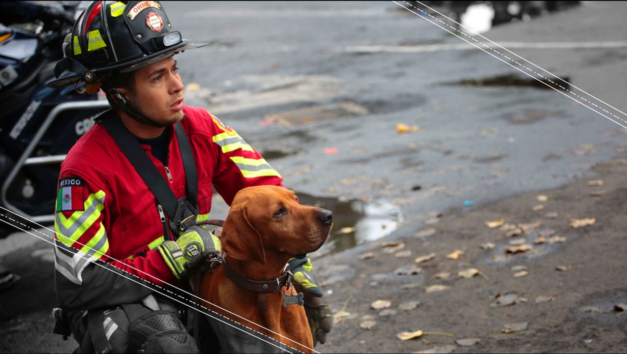 These Pups are Mexico's National Heroes