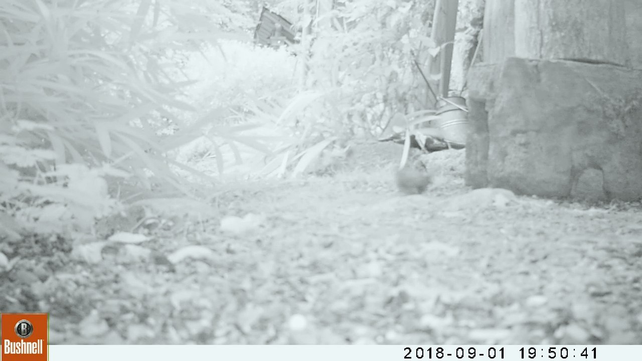 Le bain de poussière du Troglo