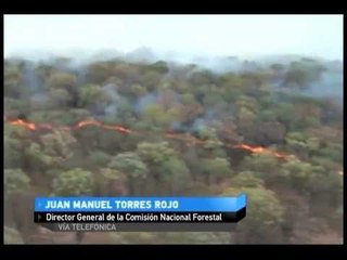 Entrevista con Juan Manuel Torres, CONAFOR