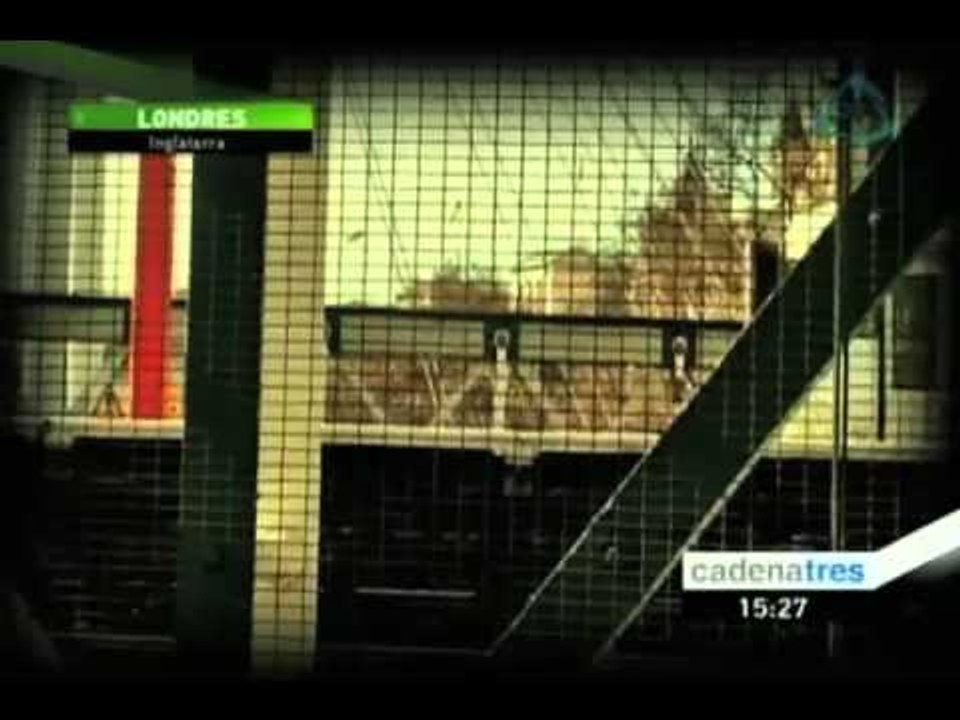 La visión de Londres de 3 mexicanas residentes en Londres de cara a los JO