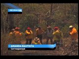 Empiezan incendios forestales en Morelia; llevan 100 hectáreas