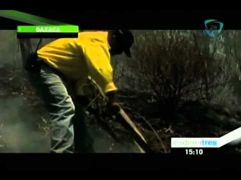 Fallecen dos comuneros en incendio forestal