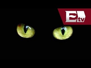 ¿Cuáles son los amuletos de los famosos?  / Función con Joanna Vega-Biestro