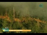 Incendios forestales devoran miles de hectáreas en Arizona