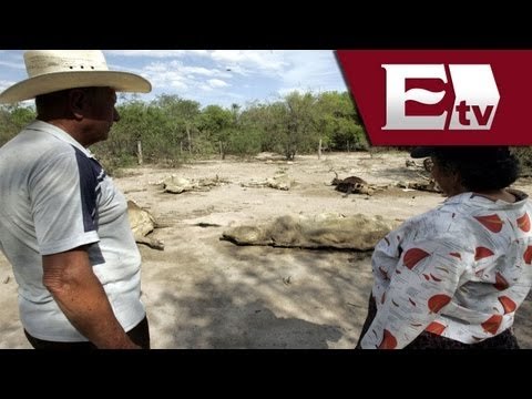 Sequía en Turquía afecta a más de 10 mil personas/Global con Paola Barquet