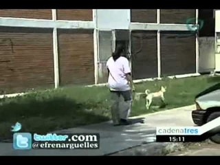 Denuncia ciudadana por envenenar perros en la unidad habitacional Narciso Mendoza