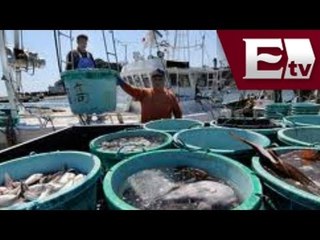 Lluvias afectan empleos en Oaxaca /Titulares de la tarde con Mariana H. y Kimberly Armengol